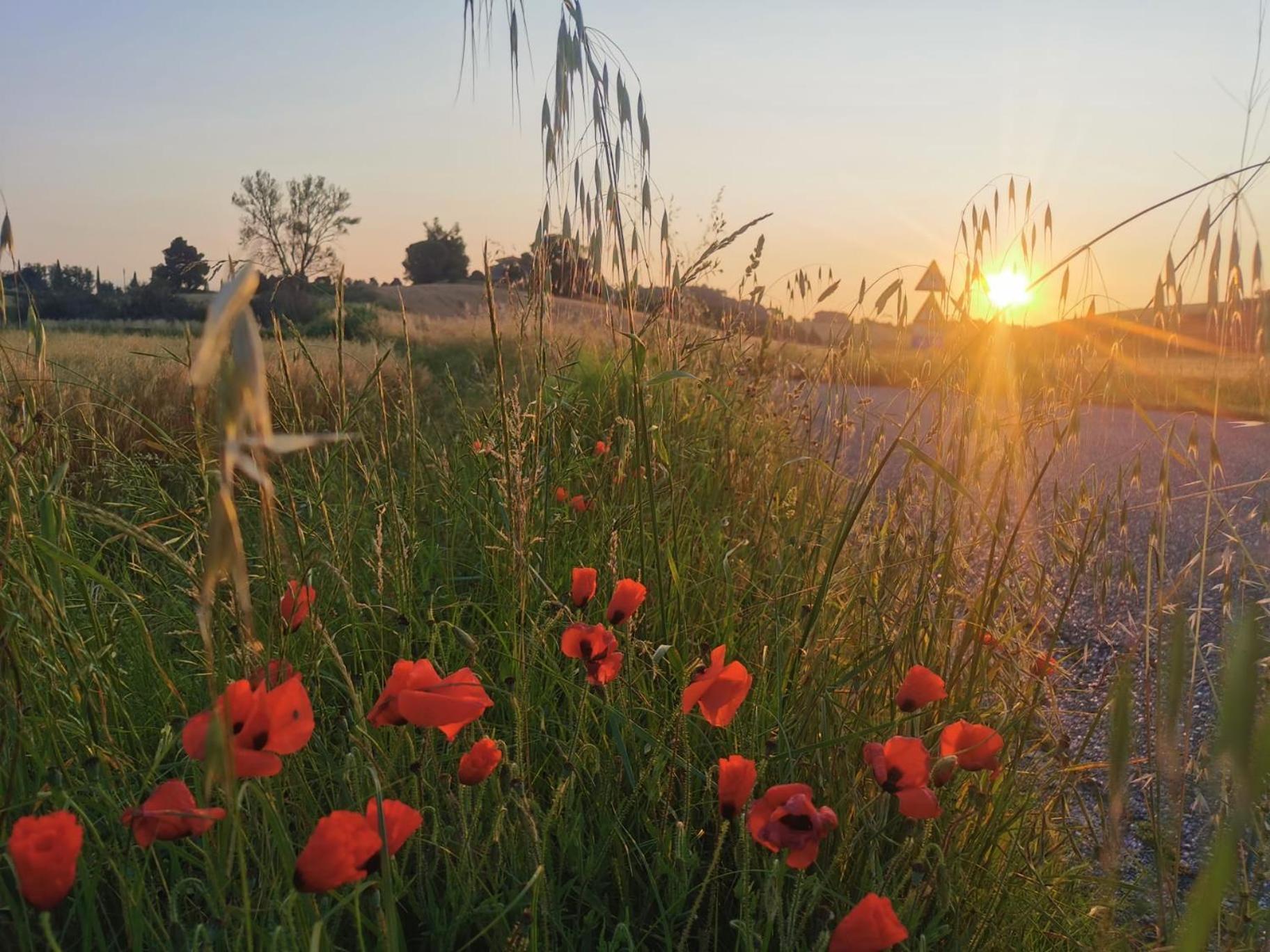 Bed and breakfast Il Nido D'amore - Colombaie Lorenzana